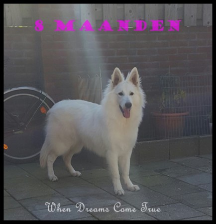 Vegas 8 maandjes oud